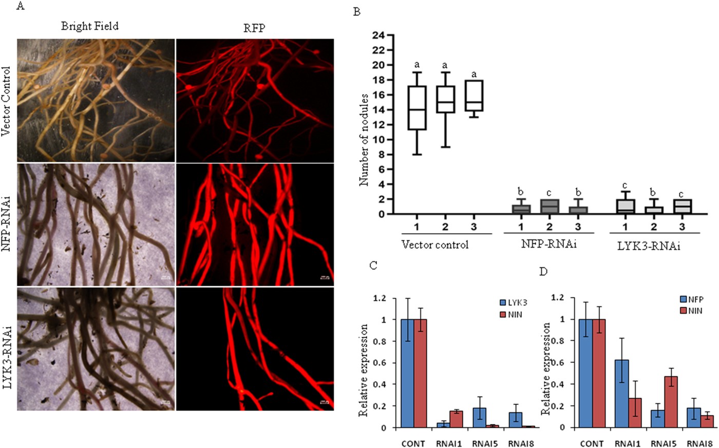 Fig. 9 from Singh & Verma 2022 EBE