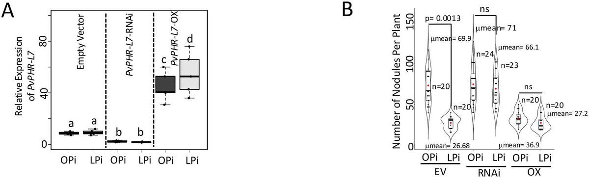 Fig. 1A-B from Singh et al. 2025 PCP